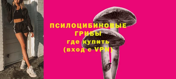 мет Белокуриха