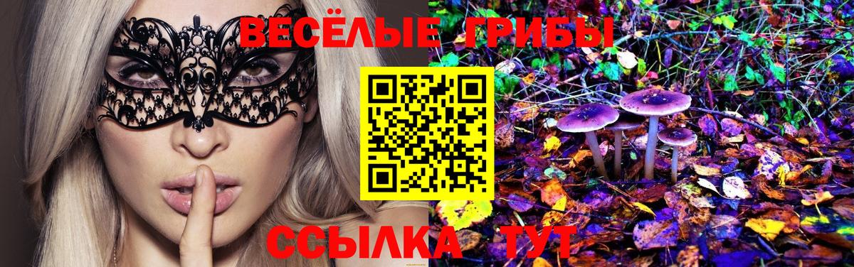 Псилоцибиновые грибы MAGIC MUSHROOMS Кушва
